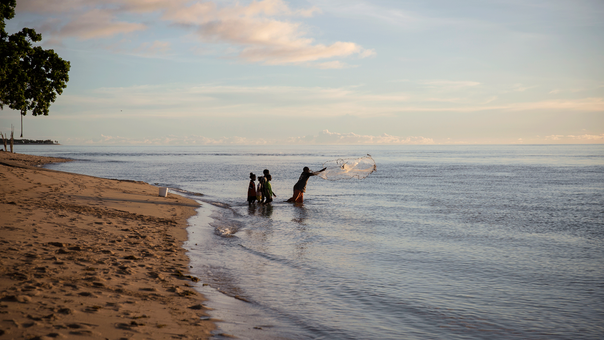 People castnetting at beach